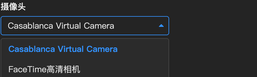 会议软件选择 Casablanca Virtual Camera